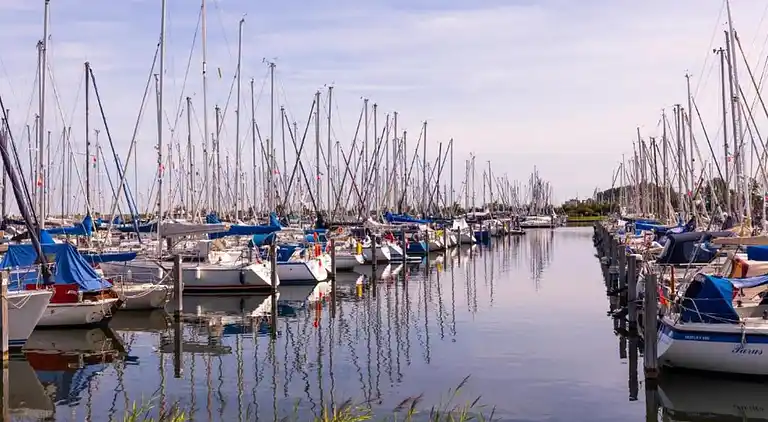 Holiday home in Bruinisse