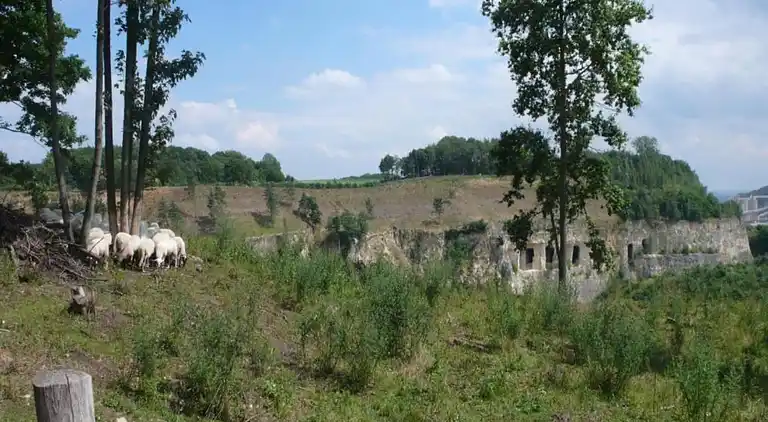 Feriebolig i Dousberg-Hazendans