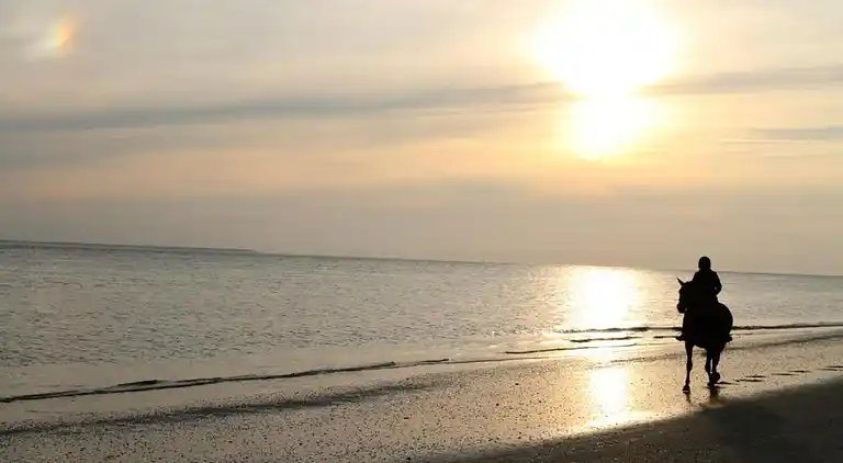 Holiday home in Hollum