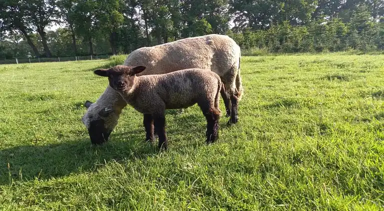 Holiday home in Hooghalen