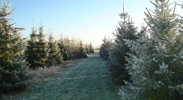 Holiday home in Hooghalen