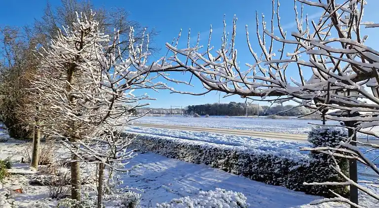 Cottage in Hooghalen