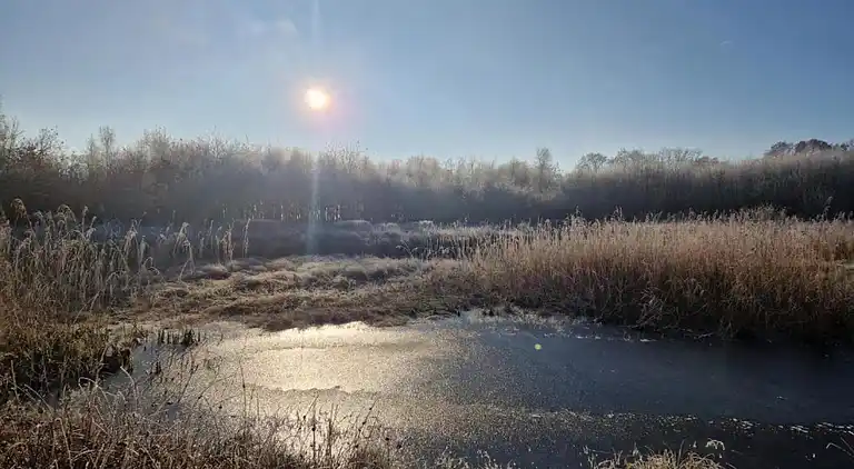 Cottage in Hooghalen
