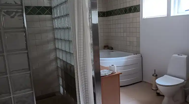 Stor feriebolig tæt på naturen