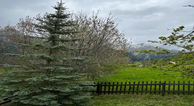 Cottage in Uvernet-Fours