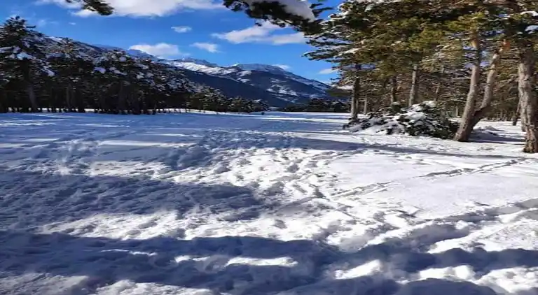 Cottage in Uvernet-Fours