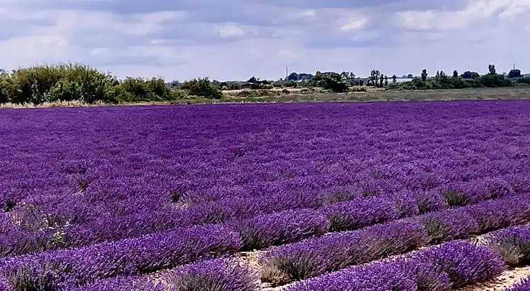 Ferielejlighed i Saint-Laurent-d'Aigouze
