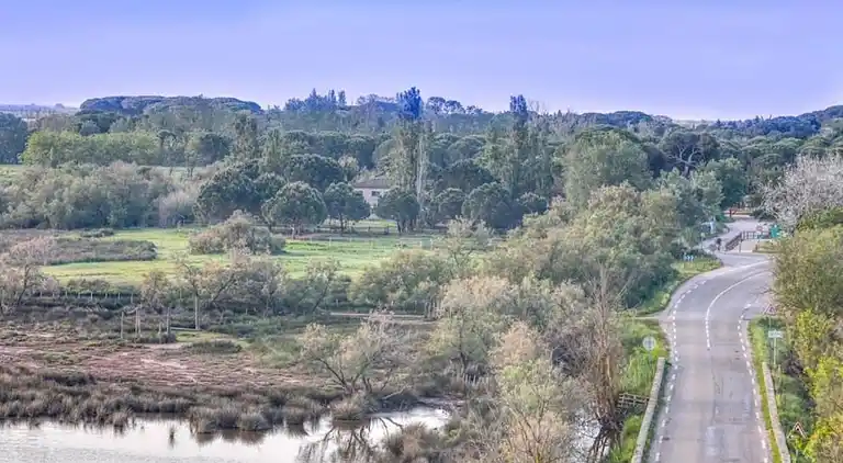 Ferielejlighed i Saint-Laurent-d'Aigouze