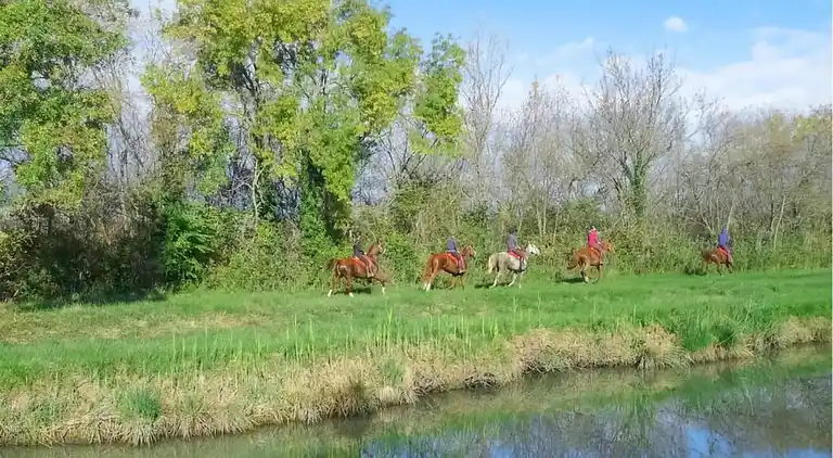 Ferielejlighed i Saint-Laurent-d'Aigouze