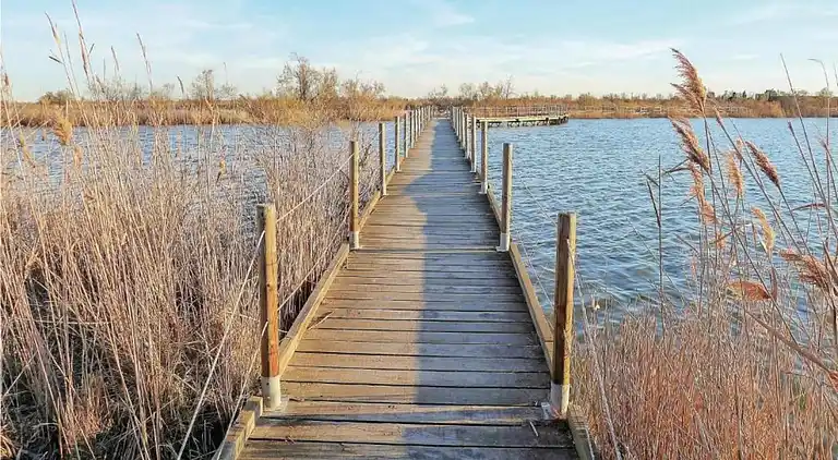 Sommerhus i Aigues-Mortes