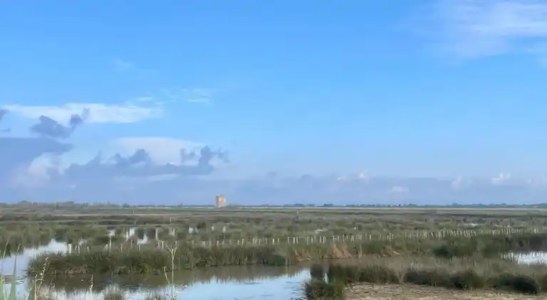 Sommerhus i Aigues-Mortes