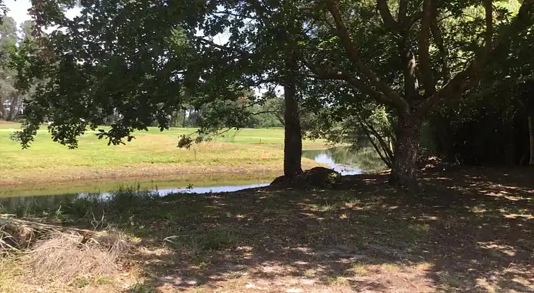 Ferielejlighed i Le Teich