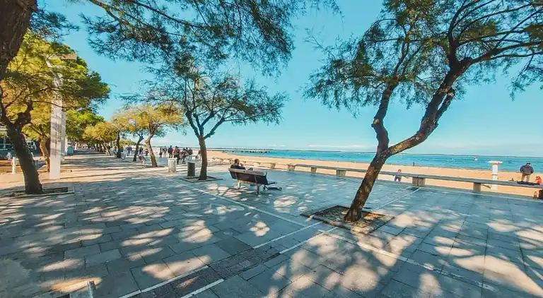 Ferielejlighed i Le Teich