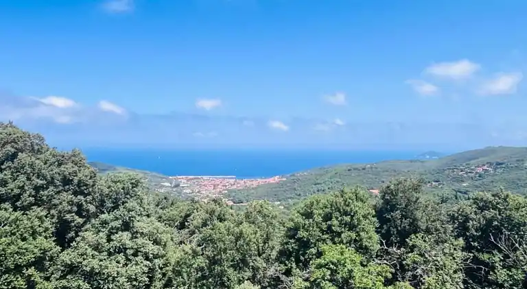 Ferienhaus in Le Teich