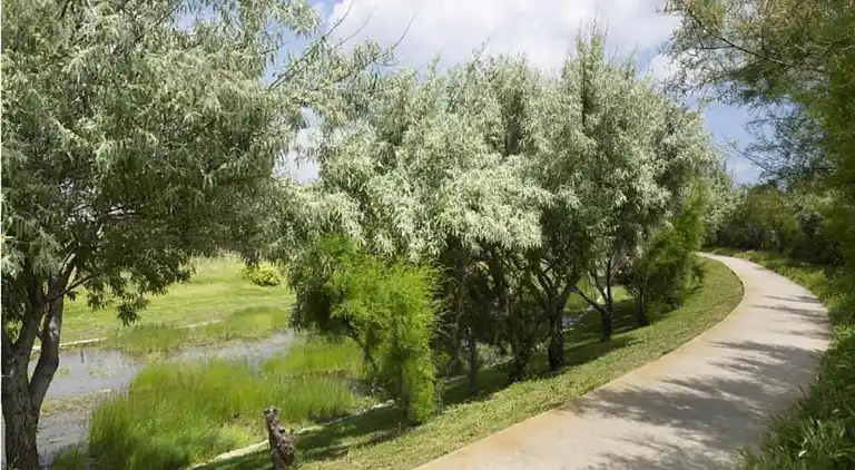 Ferielejlighed i Occitanie