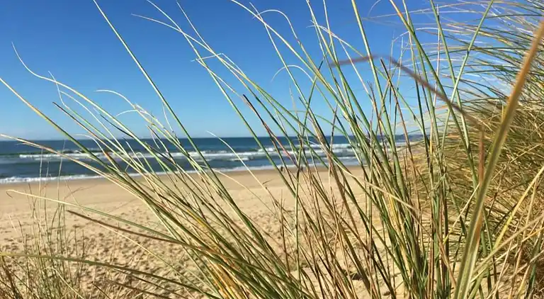 Ferielejlighed i Messanges