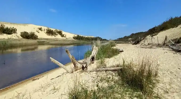 Ferielejlighed i Messanges