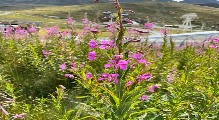 Ferielejlighed i Saint-Jean-de-Belleville