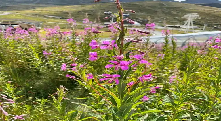 Ferielejlighed i Saint-Jean-de-Belleville