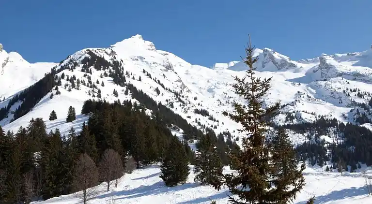 Ferielejlighed i Taninges