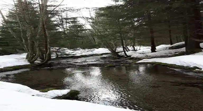 Ferielejlighed i Chamonix