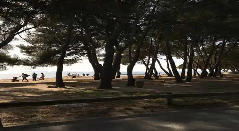 Ferielejlighed i Cavalaire-sur-Mer