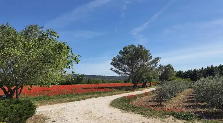 Holiday home in Gordes