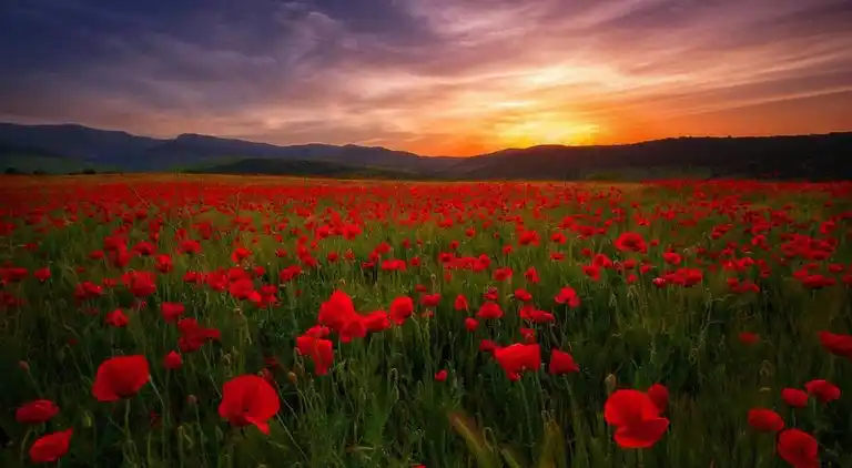 Holiday home in Gordes