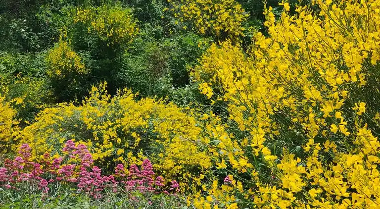 Holiday home in Gordes