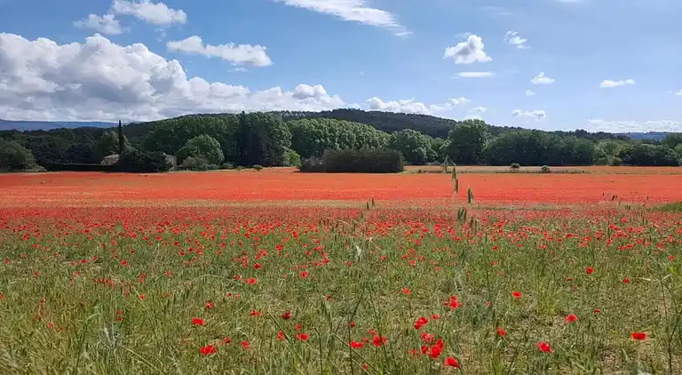 Holiday home in Gordes