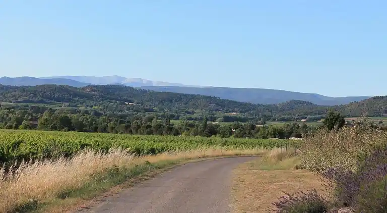 Ferielejlighed i Lacoste