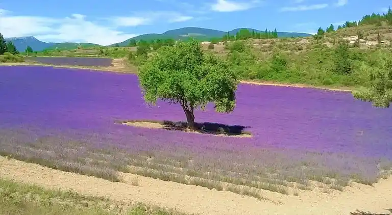 Ferielejlighed i Lacoste