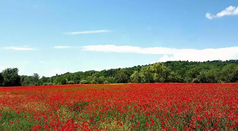 Ferielejlighed i Lacoste