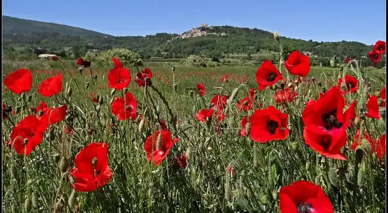 Ferielejlighed i Lacoste