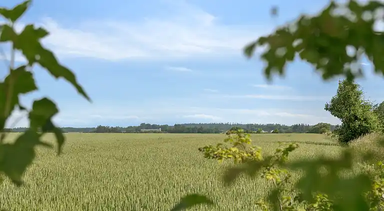 Gemütliches und persönliches Dorfhaus