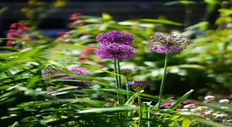 Appartement in Den Burg