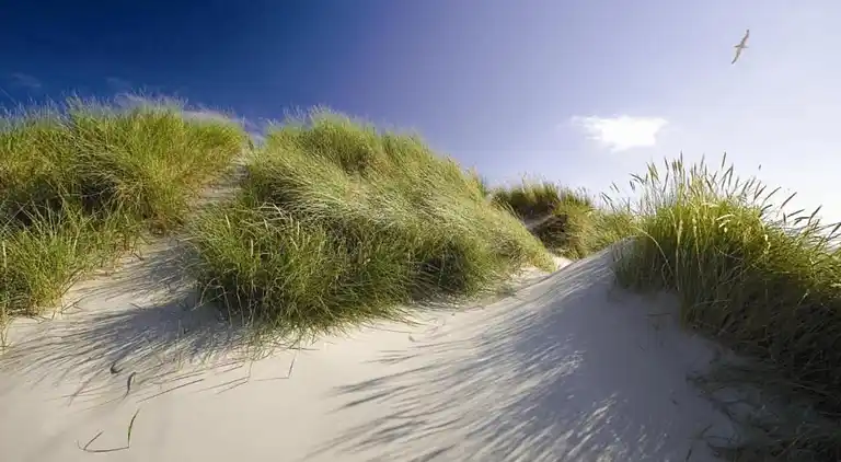 Leilighet i Den Burg