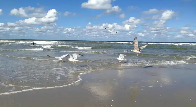 Sommerhus i 's-Gravenzande