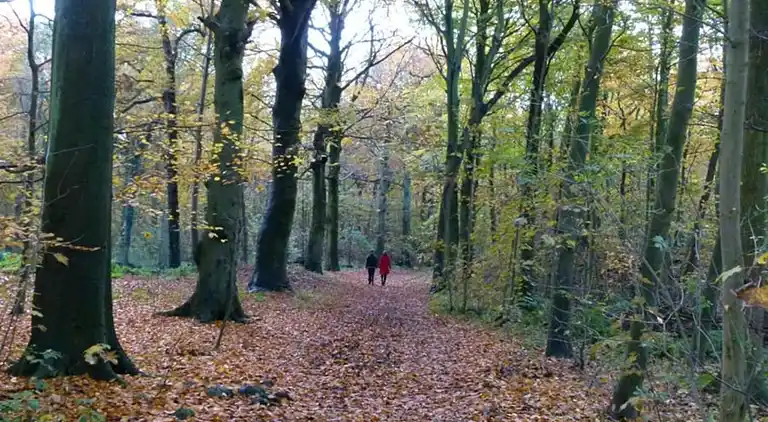 Mobile home in South Holland