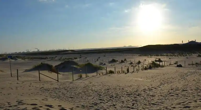 Sommerhus i 's-Gravenzande