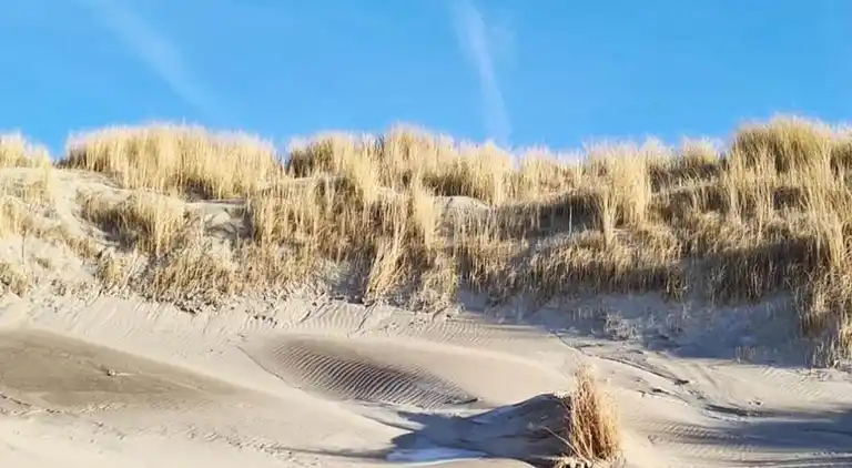 Holiday home in South Holland