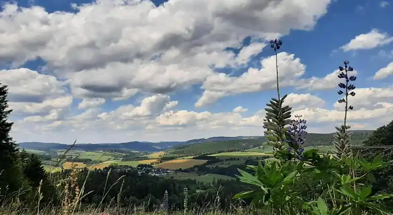 Ferienwohnung in Wissinghausen