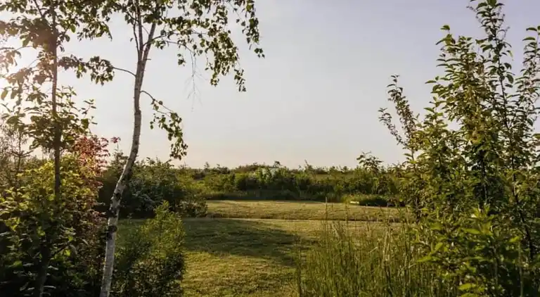 Ferienwohnung in Wissinghausen