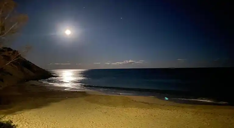 Apartment in Cala d'Or