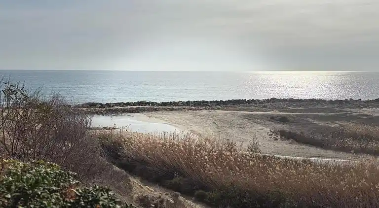 Apartment in Cala d'Or