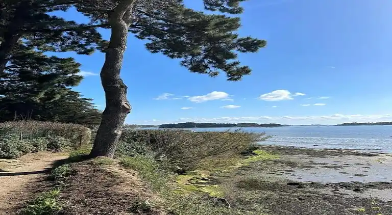 Ferielejlighed i Baden