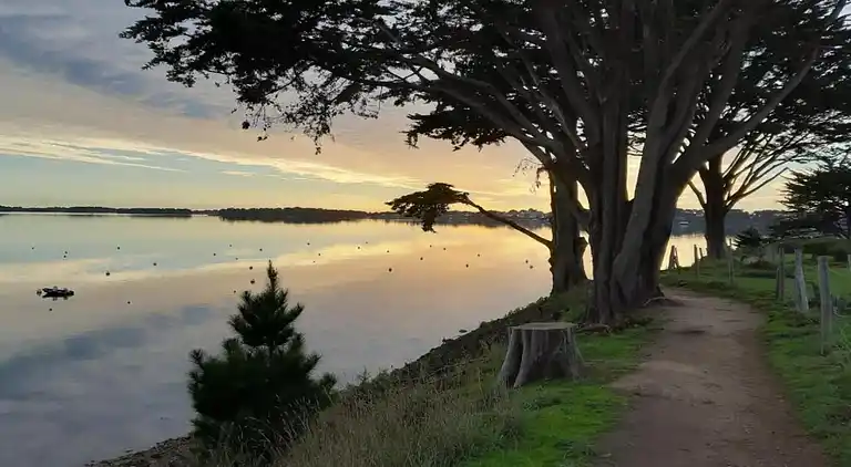 Ferielejlighed i Baden