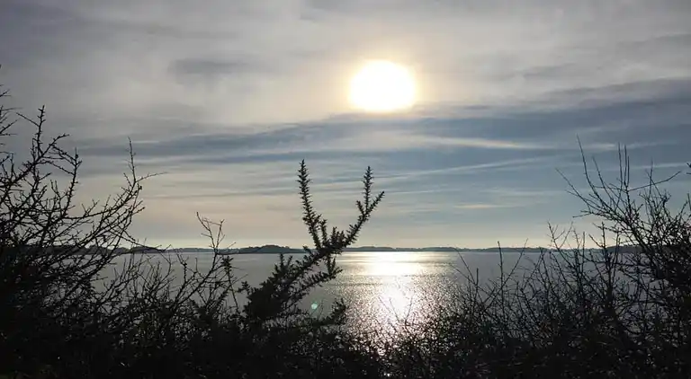 Ferielejlighed i Baden