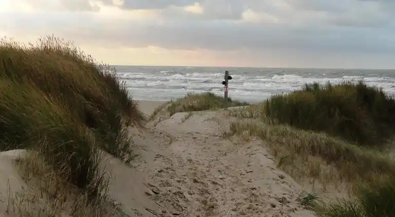 Apartment in Zuydcoote