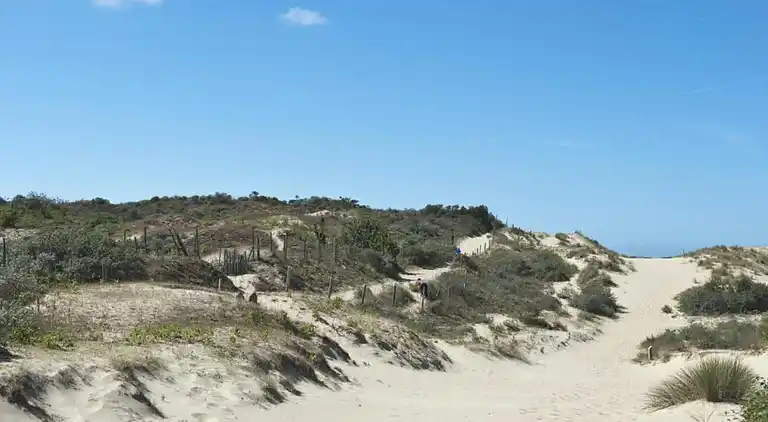 Leilighet i Zuydcoote